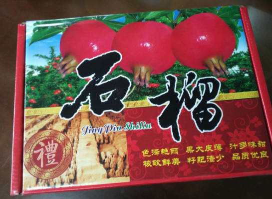 服務至上，合作長久 